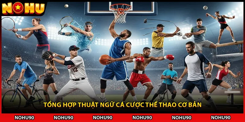 Tổng hợp thuật ngữ cá cược thể thao cơ bản